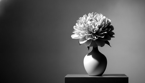 Black and white editorial photograph for tuberous breast augmentation commentary by Dr. Frank Agullo, MD, FACS.